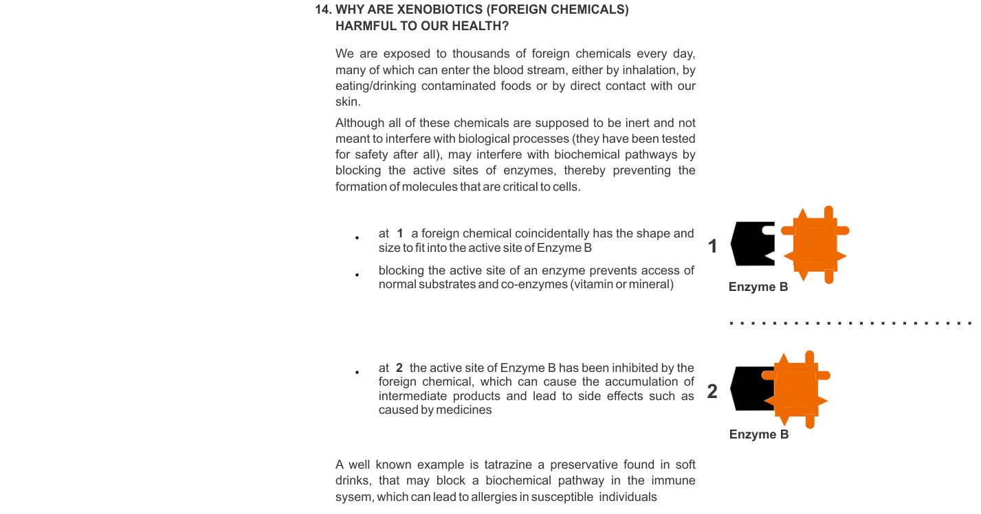 WHY ARE XENOBIOTICS (FOREIGN CHEMICALS) HARMFUL TO OUR HEALTH?