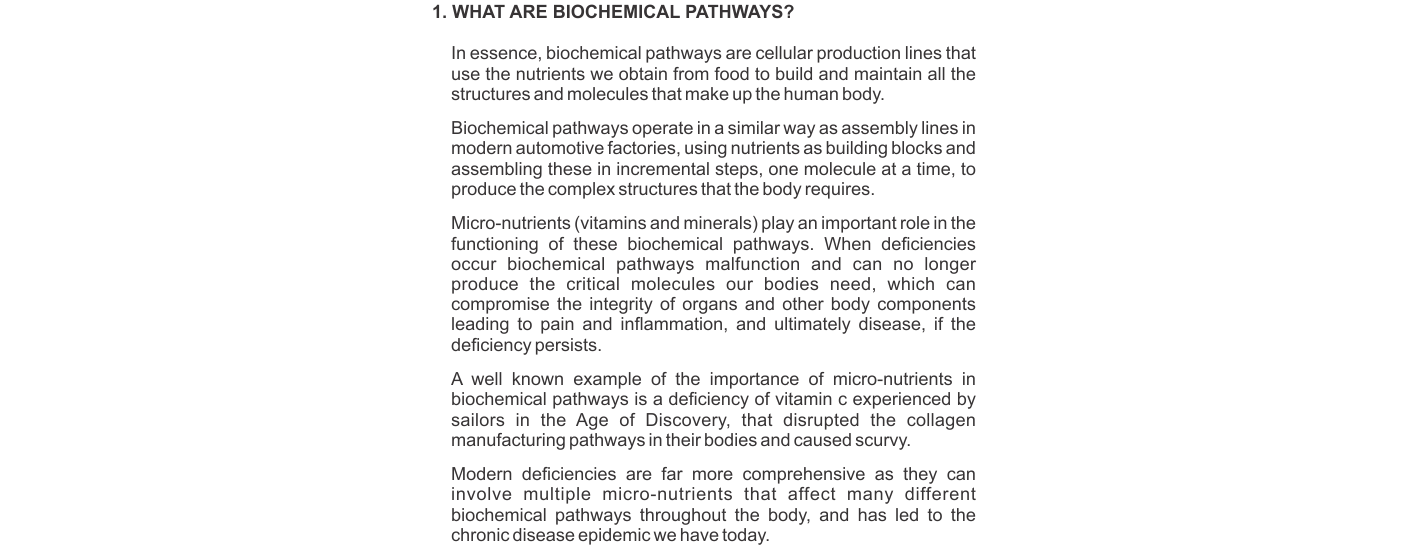 What are biochemical pathways?