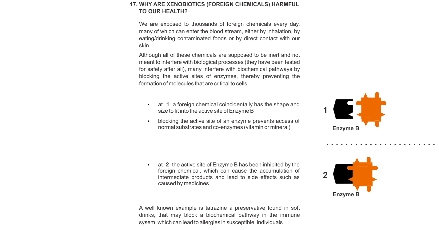 Why can xenobiotics (foreign chemicals) be harmful to our health?