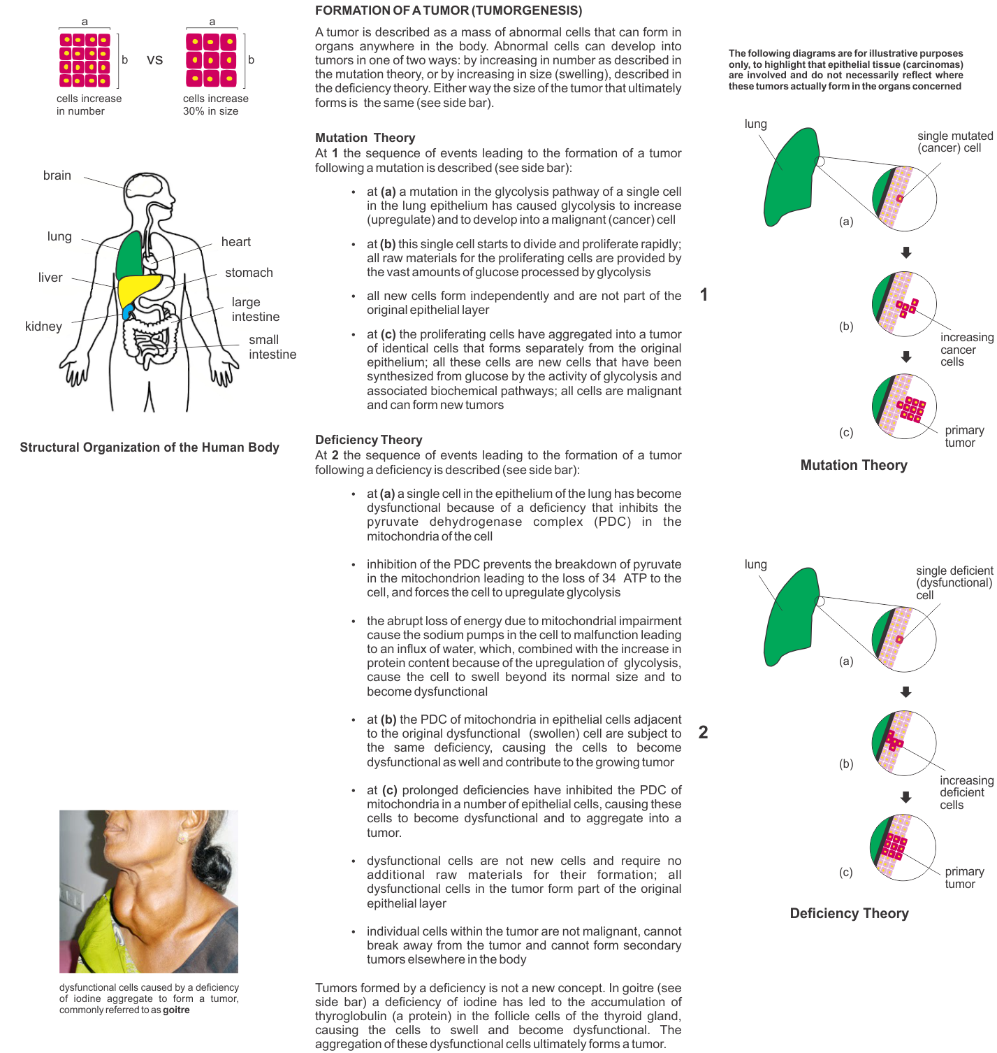 Is cancer a deficiency disease? - part c
